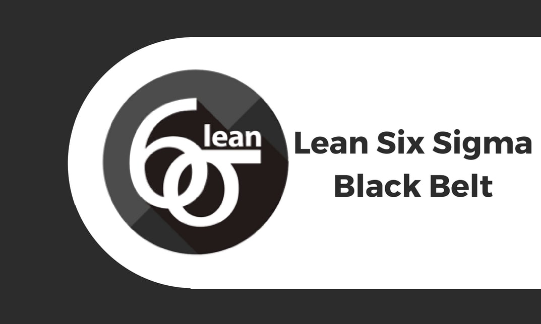 Lean Six Sigma Black Belt